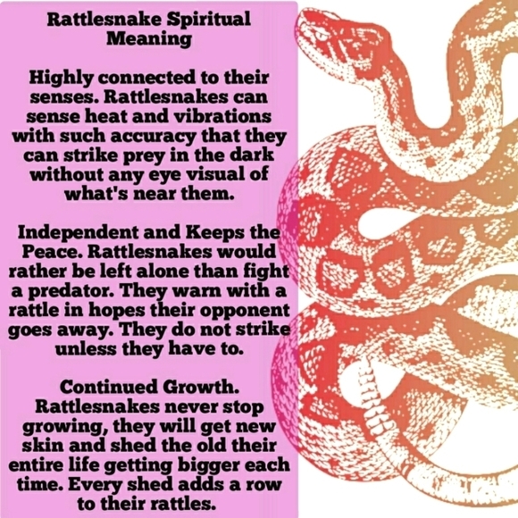 Serpent Snake Ring Hypoallergenic Unisex - Picture 4 of 15